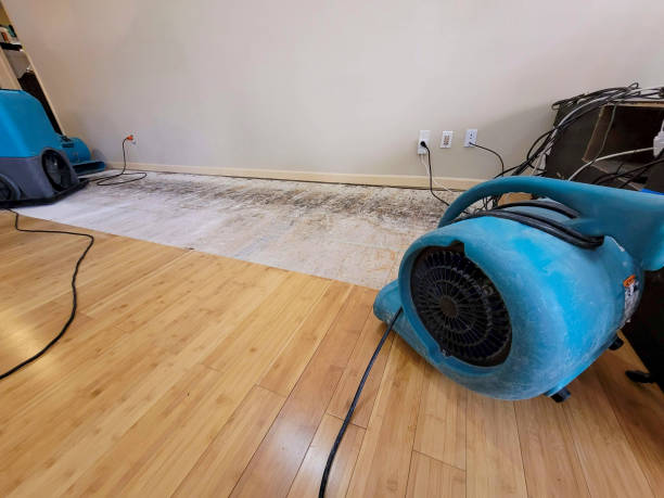 Professional Burst Pipe Water Damage technician working in Highland Lakes, NJ